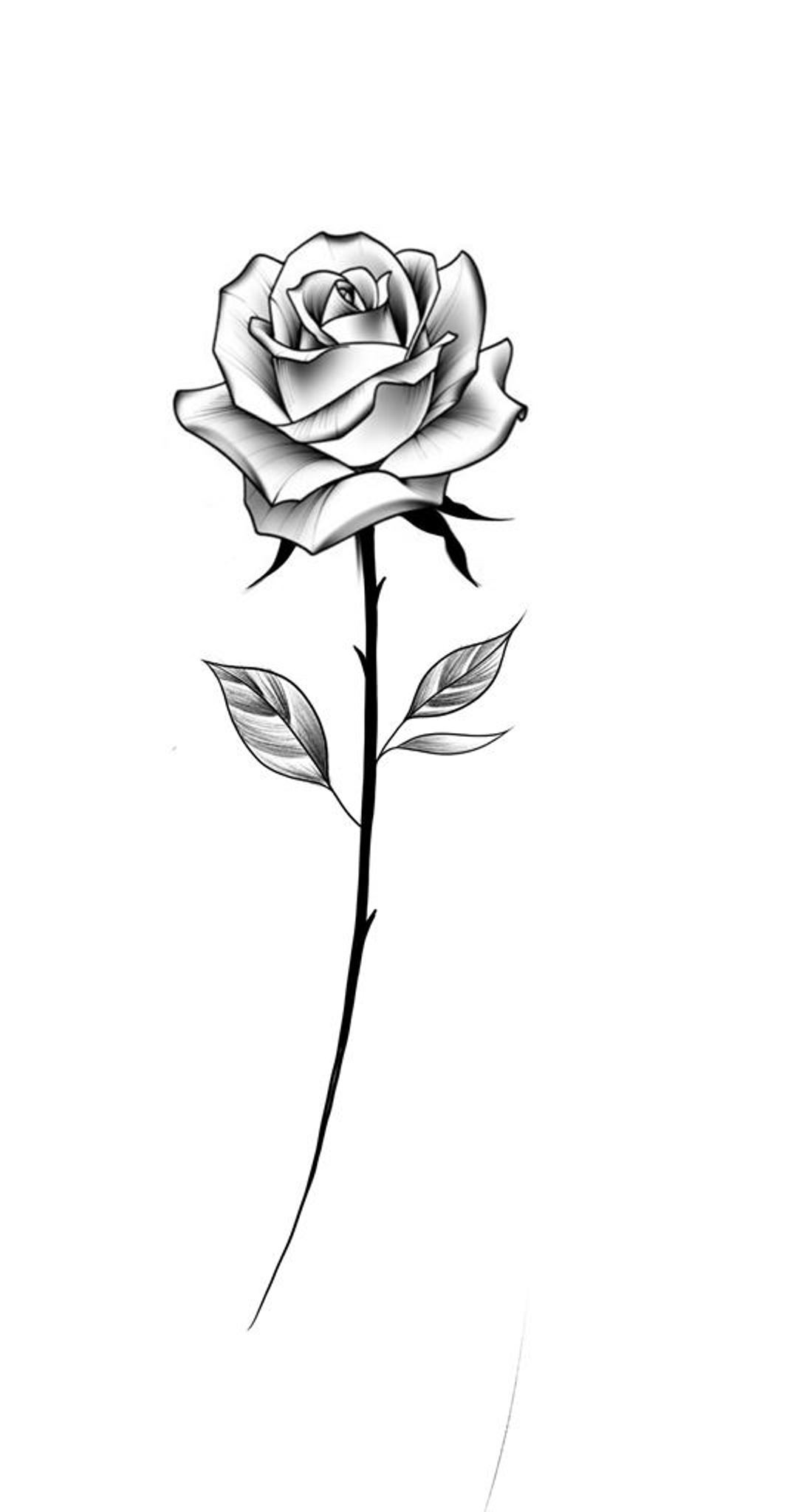 small-rose-stencil-tattoo-image-tattoospunch-com