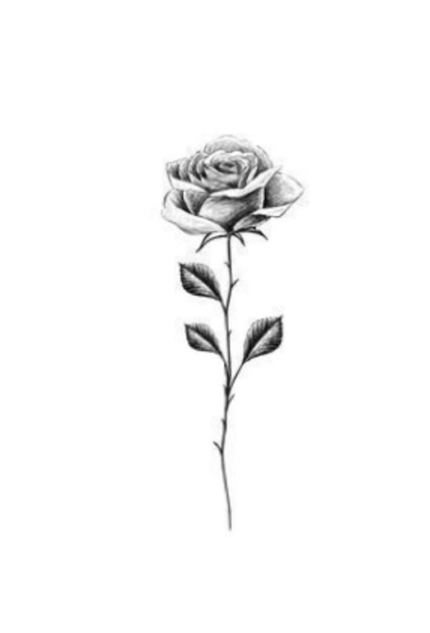create-stunning-rose-tattoo-designs-with-these-easy-outline-drawings